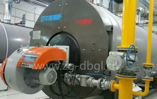 天津客戶燃?xì)鉄崴仩t案例